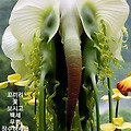 '.' 글에 포함된 이미지