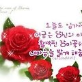 '바쁜하루 이제사 출석' 글에 포함된 이미지