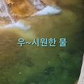 '덥습니다 ' 글에 포함된 이미지