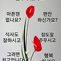 '화요일은 화기애애즐' 글에 포함된 이미지