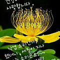 '가장 탁월한 인물은자' 글에 포함된 이미지