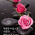 '비가 많이 내리면 좋' 글에 포함된 이미지