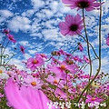 '고맙습니다.10월의 두' 글에 포함된 이미지