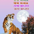'새해 복 많이 받으세' 글에 포함된 이미지