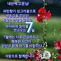 '.' 글에 포함된 이미지