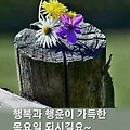 'ㆍ' 글에 포함된 이미지
