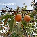 '비오는 토요일출석합' 글에 포함된 이미지