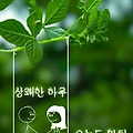 '.' 글에 포함된 이미지