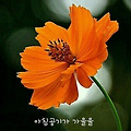 '.' 글에 포함된 이미지
