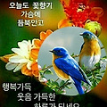 '~' 글에 포함된 이미지