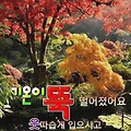 '기온이 점점 더 많이 ' 글에 포함된 이미지