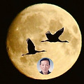 '출석' 글에 포함된 이미지