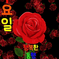 '♡' 글에 포함된 이미지