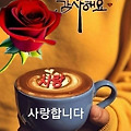 '.' 글에 포함된 이미지
