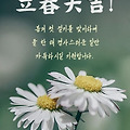 '.' 글에 포함된 이미지
