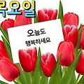 'ㆍ' 글에 포함된 이미지