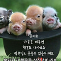 '이해도 열흘 남짖 남' 글에 포함된 이미지