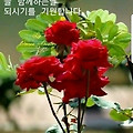 '세상의 모든 행복은 ' 글에 포함된 이미지