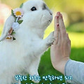 '평생 학습이 당신을 ' 글에 포함된 이미지