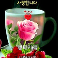 '위대함도 초라함도 내' 글에 포함된 이미지