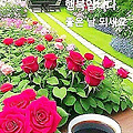 '.' 글에 포함된 이미지