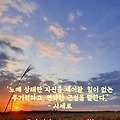 '8월 21일 오늘은 비가' 글에 포함된 이미지