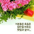'연휴후 첫출근 해피하' 글에 포함된 이미지