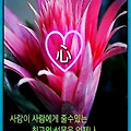 '한 주를 마무리 하는 ' 글에 포함된 이미지