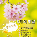 '3월첫날 출석합니다' 글에 포함된 이미지
