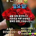 '.' 글에 포함된 이미지