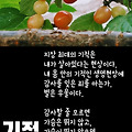 '비가 많이 오는데 걱' 글에 포함된 이미지
