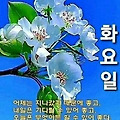 '♡' 글에 포함된 이미지