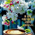 '.' 글에 포함된 이미지