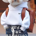 '.' 글에 포함된 이미지