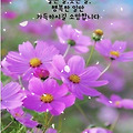 '💕오늘 하루도 행복' 글에 포함된 이미지