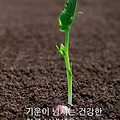 'ㆍ' 글에 포함된 이미지