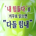 '출석합니다' 글에 포함된 이미지