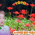 '10월의 마지막 주말 ' 글에 포함된 이미지