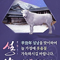 '축복의 사람으로 당신' 글에 포함된 이미지