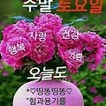 '★즐거운 주말 토요일' 글에 포함된 이미지