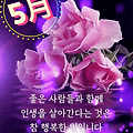 '♡' 글에 포함된 이미지
