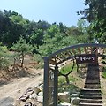 '오늘은 금요일 5060 ' 글에 포함된 이미지