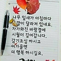 '출석요' 글에 포함된 이미지