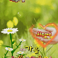 '8월의 마지막날무더운' 글에 포함된 이미지