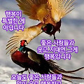 '좋아하는 것이 뭔지 ' 글에 포함된 이미지