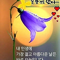'출석합니다' 글에 포함된 이미지