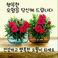 '다녀가요' 글에 포함된 이미지