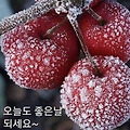 '.' 글에 포함된 이미지