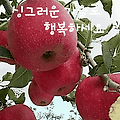 '상큼한 아침은 가을이' 글에 포함된 이미지