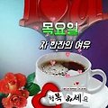 '설명절 잘 보내셨지용' 글에 포함된 이미지